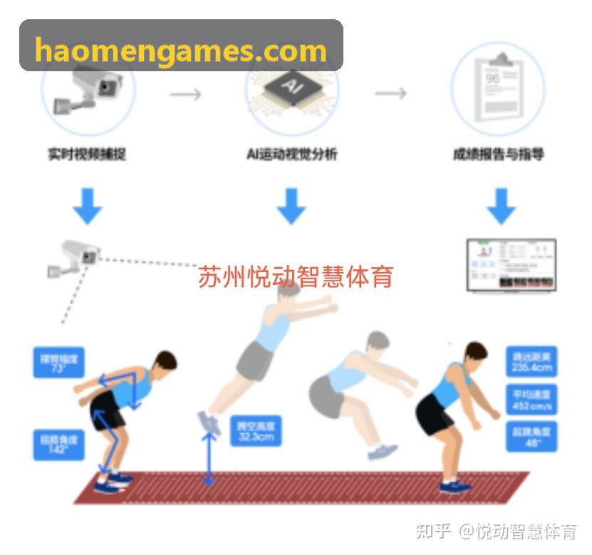 豪门国际DTC套件